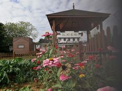 -龙湖东院农庄(乡间小路店)