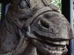 -唐崖土司城遗址