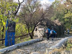 -阳台山自然风景区