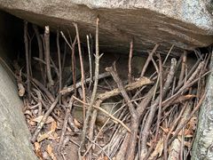 -中国花亭湖风景名胜区-西风禅寺