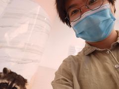 -浣熊柯尔鸭土拨鼠·电玩咖