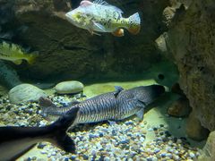 -多彩贵州城极地海洋世界