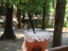 -波尔登森林公园