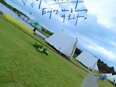 -上海都市菜园