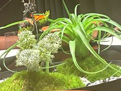 -嘉宴·精致客家菜
