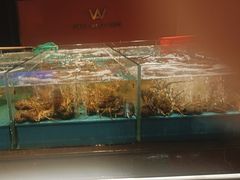 -阿伟海鲜楼·福建菜(延寿店)