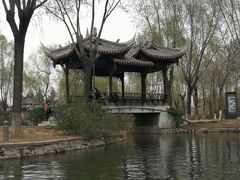 -石家庄市植物园