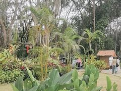 -西双版纳傣族园