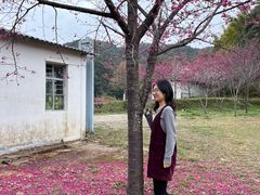 -广州市石门国家森林公园