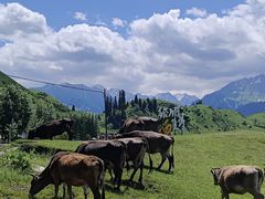 -新疆那拉提国家旅游度假区