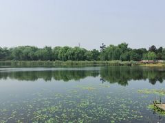 -北坞公园