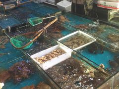 -七宝蔬菜农副产品综合交易市场-停车场