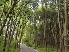 -同里国家湿地公园
