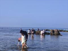 -老虎石海上公园