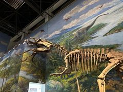 -自贡恐龙博物馆