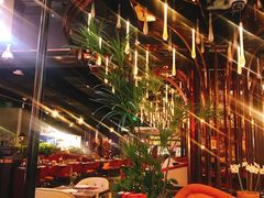 -查特花园美食广场(西单大悦城店)