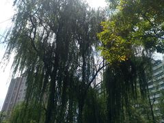 -云南省图书馆