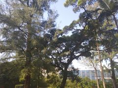 -北海市海滨公园