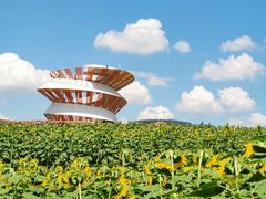 -光明小镇欢乐田园