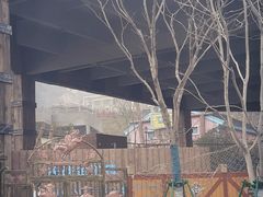 -徐州乐园加勒比水世界