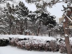 -元大都城垣遗址公园