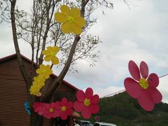 -关山草原