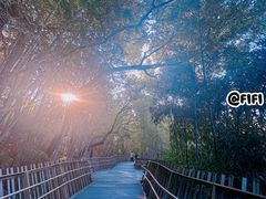 -福道