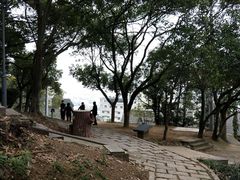 -东河市场