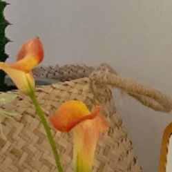 -凡碧诗毛孔收细