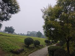 -张坝桂圆林公园