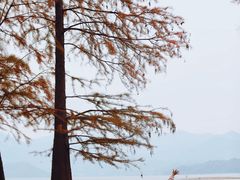 -四明湖