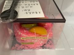 -汤山温泉房车营地 茶温泉