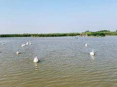 -宁波杭州湾国家湿地公园