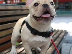 -瑞鹏瑞爱宠物医院·全科·猫科·血液透析中心(龙头寺店)