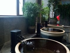 -弘安丽水温泉酒店