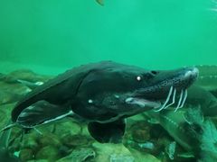 -太平洋海底世界