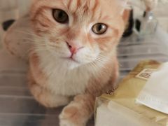 -平行世界·猫咖(首经贸店)