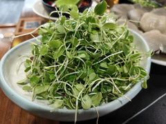 -常赢三兄弟·清真涮肉·清真炒菜(朝阳新城店)