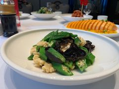 秋葵木耳桃仁-龙船人海鲜城(长治路店)