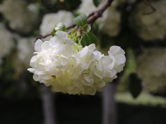 -杭州城北体育公园