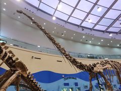 -陕西自然博物馆