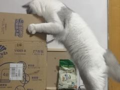 -美迦爱-动物医院·骨科·牙科·夜诊(朝阳路诊疗中心)