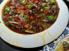 -京悦南门涮羊肉·羊蝎子火锅(田林路店)