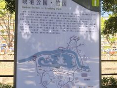 -晓港公园