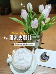 -韩辰医疗美容医院