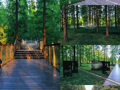 -黄海国家森林公园