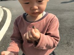 -溧水区永阳幼儿园