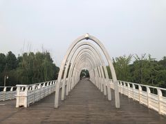 -大兴滨河森林公园