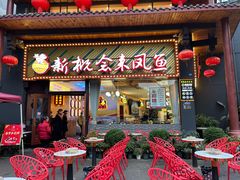 -新概念来凤鱼(璧山店)