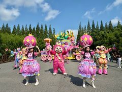 -黄海国家森林公园